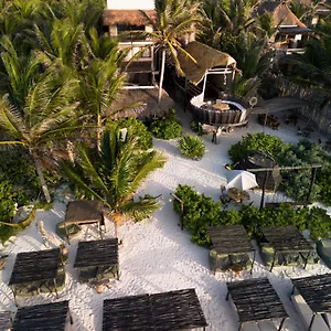 **** Hotel Orchid House (adults Only) México