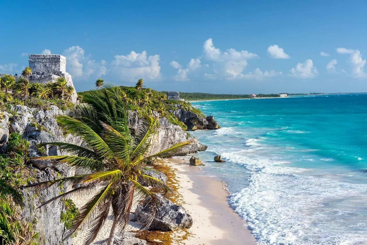 Day Tripper Hostel Tulum Pueblo